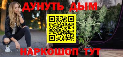 тгк Гусь-Хрустальный