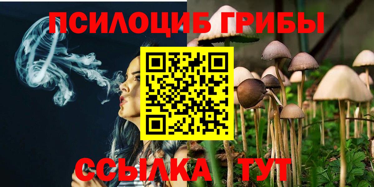 Нарткала  Псилоцибиновые грибы Psilocybe  Вход с VPN 